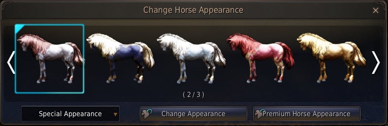 bdo-horse-appearence-coupon-2