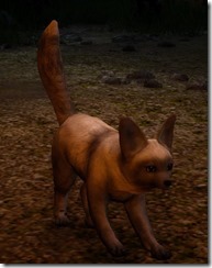 tier3-desert-fox-appearance-change-gray-4-6-v.myst-frontangle tier3-desert-fox-appearance-change-gray-4-6-v.myst-frontangle