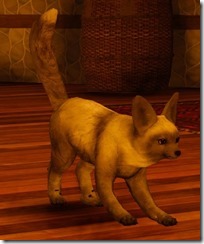 tier3-desert-fox-appearance-change-gray-4-6-v.myst-sideangle tier3-desert-fox-appearance-change-gray-4-6-v.myst-sideangle