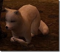 tier4-desert-fox-appearance-change-5-6-v.myst-frontanglelaydown tier4-desert-fox-appearance-change-5-6-v.myst-frontanglelaydown