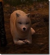 tier4-desert-fox-appearance-change-5-6-v.myst-frontlayingdown tier4-desert-fox-appearance-change-5-6-v.myst-frontlayingdown