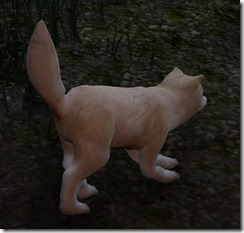 tier4-desert-fox-appearance-change-5-6-v.myst tier4-desert-fox-appearance-change-5-6-v.myst