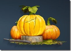 Halloween Jack-o'-Lantern Back Halloween Jack-o'-Lantern Back
