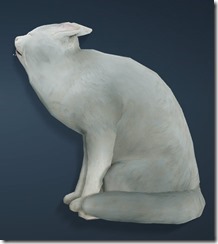 White Shorthair Cat Side White Shorthair Cat Side