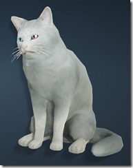White Shorthair Cat White Shorthair Cat