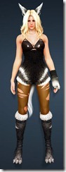 bdo-gray-fox-costume-sorc bdo-gray-fox-costume-sorc