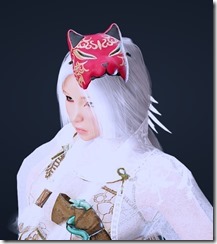 Tamer.fox_.hat_.2 Tamer.fox_.hat_.2