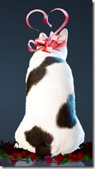 Ribbon Cat Back Ribbon Cat Back