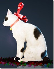 Ribbon Cat Side Ribbon Cat Side