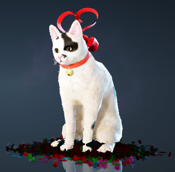 BDO Fashion | [Tier 1] Ribbon Cat