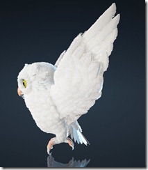 bdo-carmadun-owl-2 bdo-carmadun-owl-2