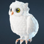Carmadun Owl