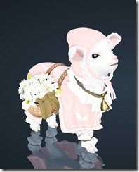 bdo-lamb-pet-2 bdo-lamb-pet-2