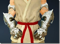 Lahr Arcien Gauntlet Stowed Lahr Arcien Gauntlet Stowed
