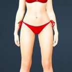 Envi Bikini