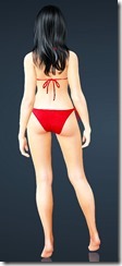 bdo-envi-bikini-2 bdo-envi-bikini-2